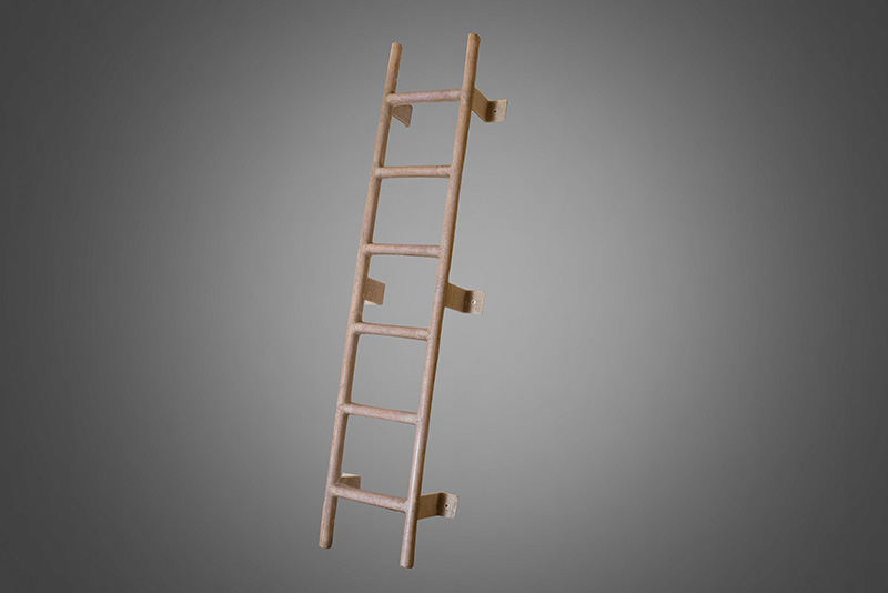 Frp Ladder & Ladder With Cage